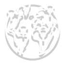 Međunarodni događaji